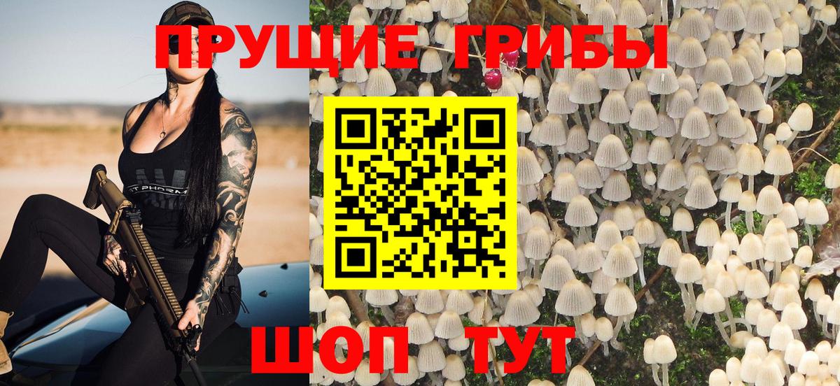 Галлюциногенные грибы GOLDEN TEACHER  Вход с VPN  Екатеринбург  Псилоцибиновые грибы прущие грибы 
